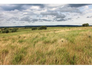 Property photo 45 - LAND AUCTION - 1,593+/- ACRES OFFERED IN 21 TRACTS IN OKMULGEE CO., OK